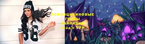 бошки Алексин