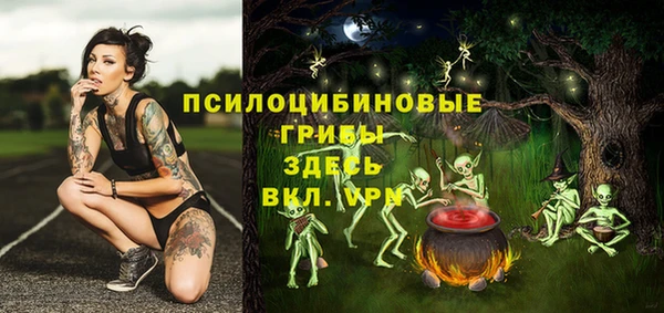 бошки Алексин