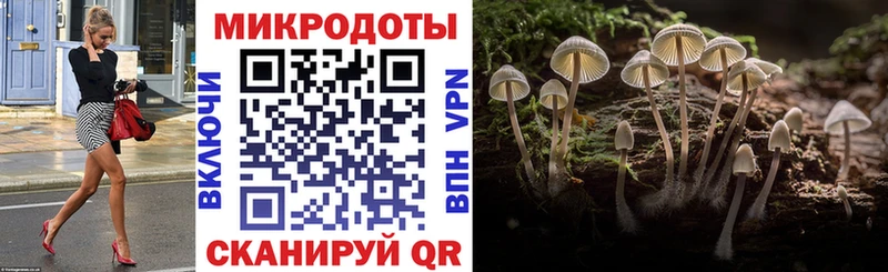 как найти наркотики  Полевской  Псилоцибиновые грибы MAGIC MUSHROOMS 
