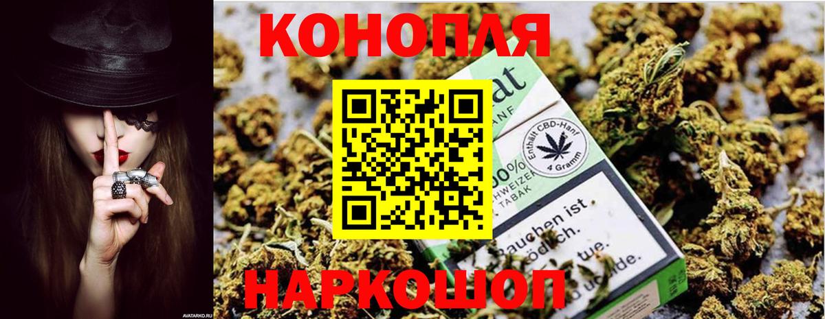 Бошки марихуана план  Бошки марихуана MAZAR  МАРИХУАНА планчик  Вход с VPN  Полевской 